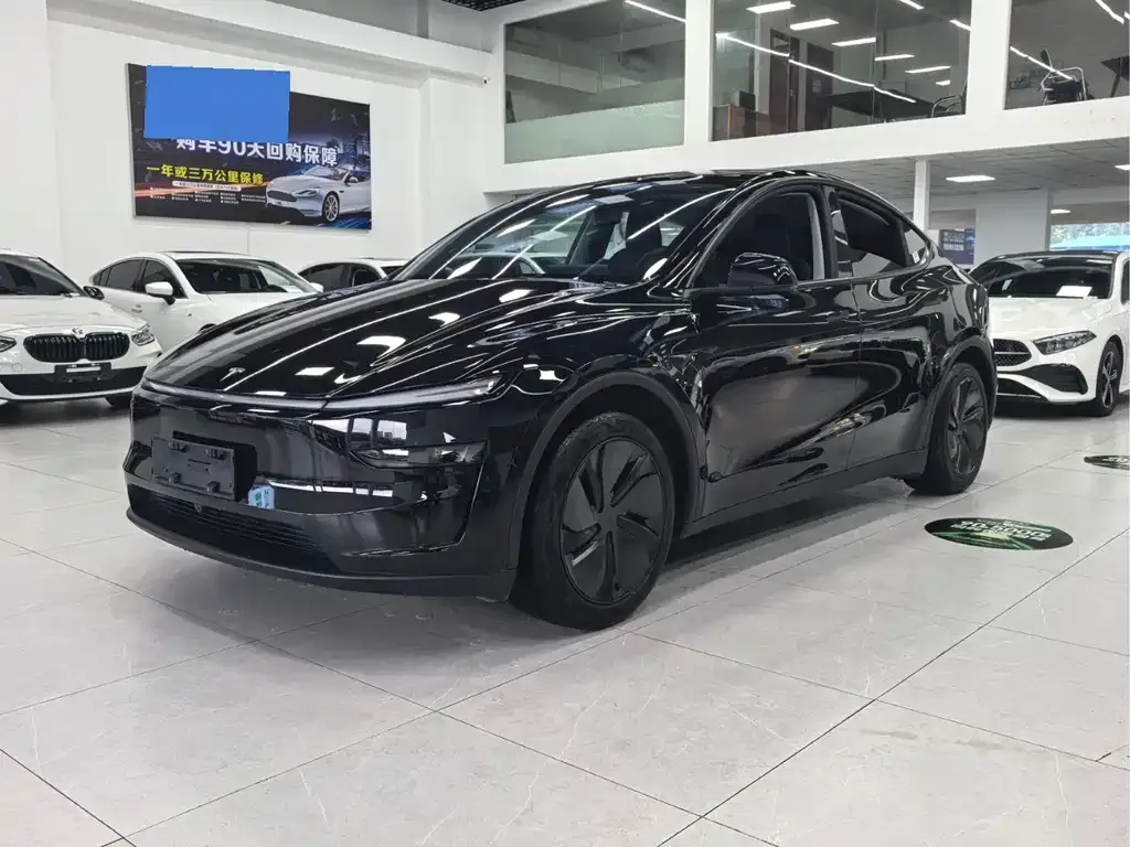 Tesla Model Y 2025 из CN, фото 1
