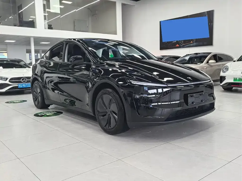 Tesla Model Y 2025 из CN, фото 9