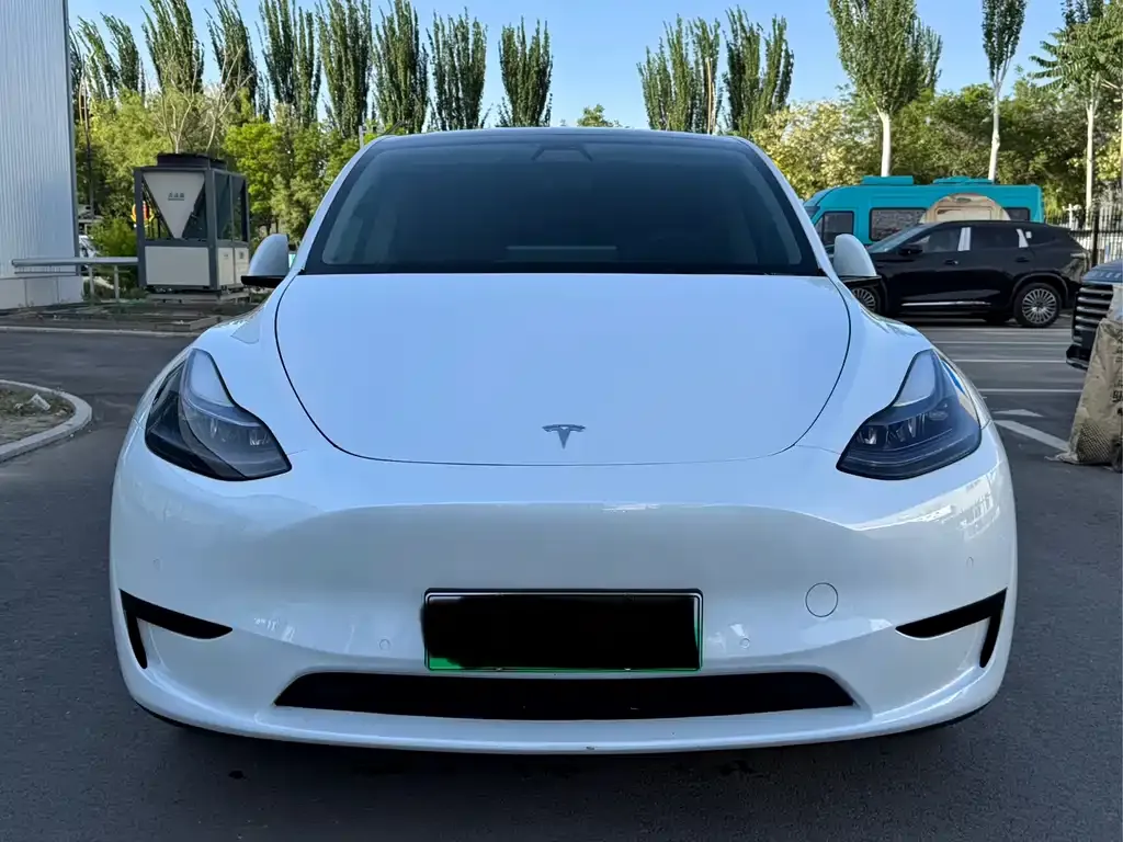 Tesla Model Y — фото 5