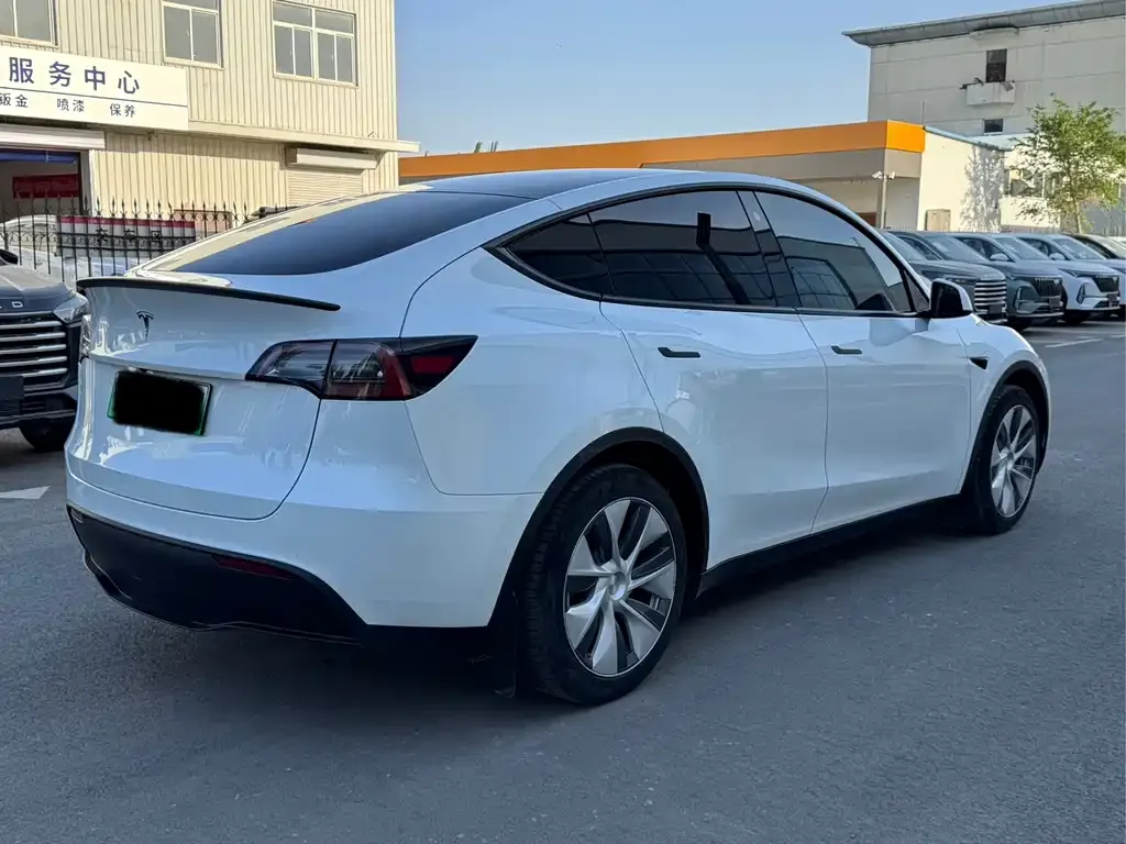Tesla Model Y — фото 3