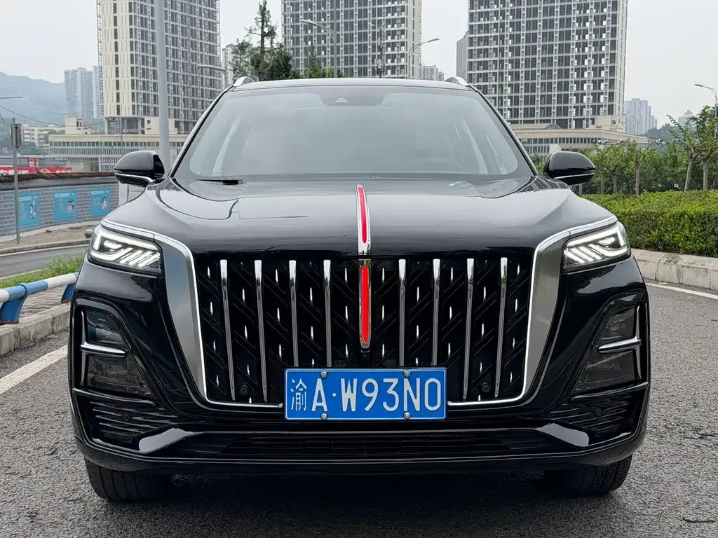 Hongqi HS5 2024 из CN, фото 10