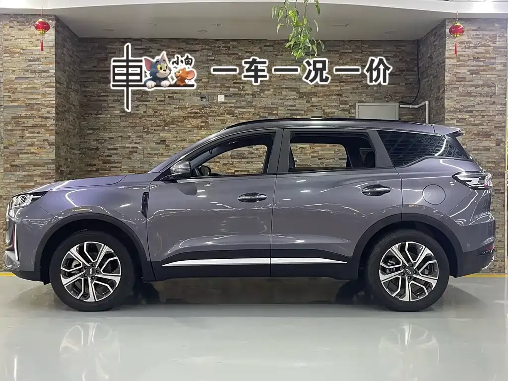 Chery Tiggo 7 PLUS — фото 10