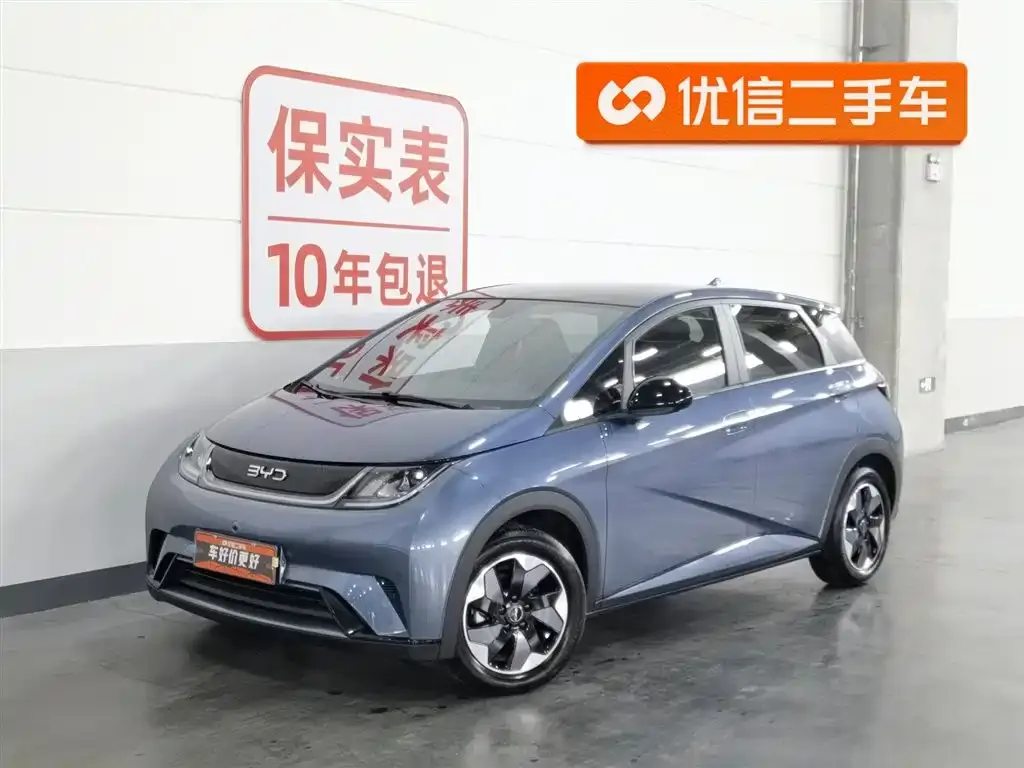 BYD Dolphin 2025 из CN, фото 1