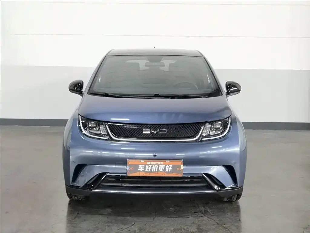 BYD Dolphin 2025 из CN, фото 3