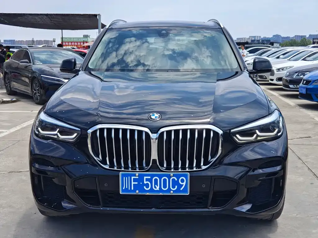 BMW X5 (Import) 2022 из CN, фото 4