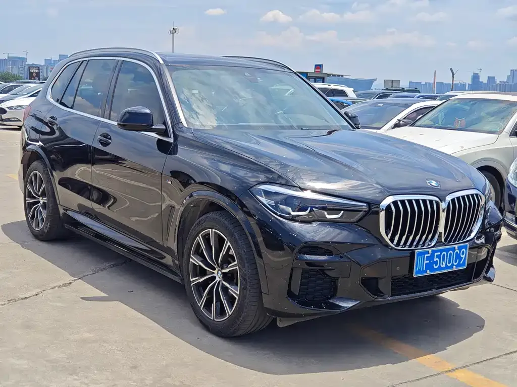 BMW X5 (Import) 2022 из CN, фото 5