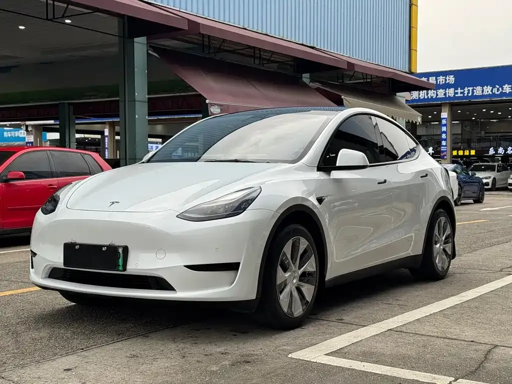 Tesla Model Y — фото 1