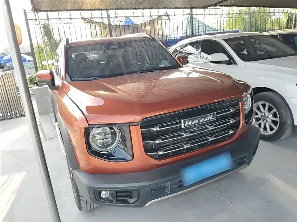 Haval Big Dog 2021 из CN, фото 9