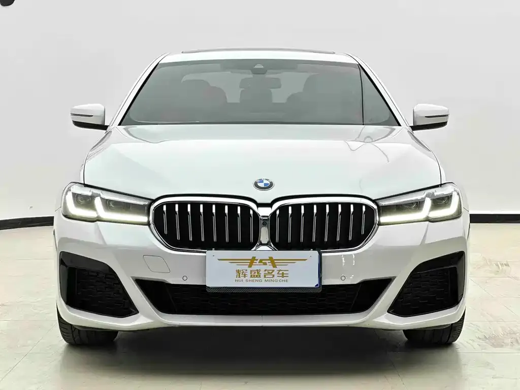 BMW 5 Series 2023 из CN, фото 4
