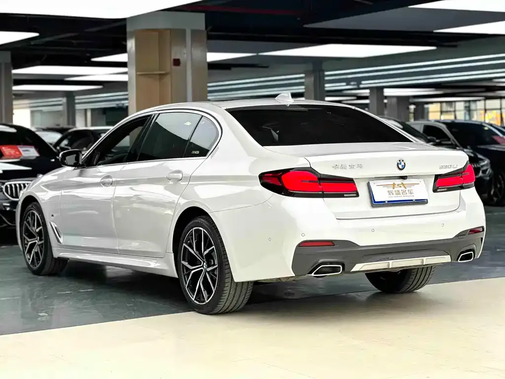 BMW 5 Series 2023 из CN, фото 5