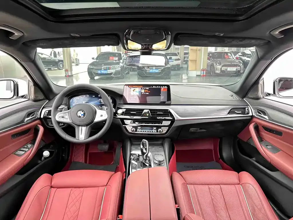 BMW 5 Series 2023 из CN, фото 10