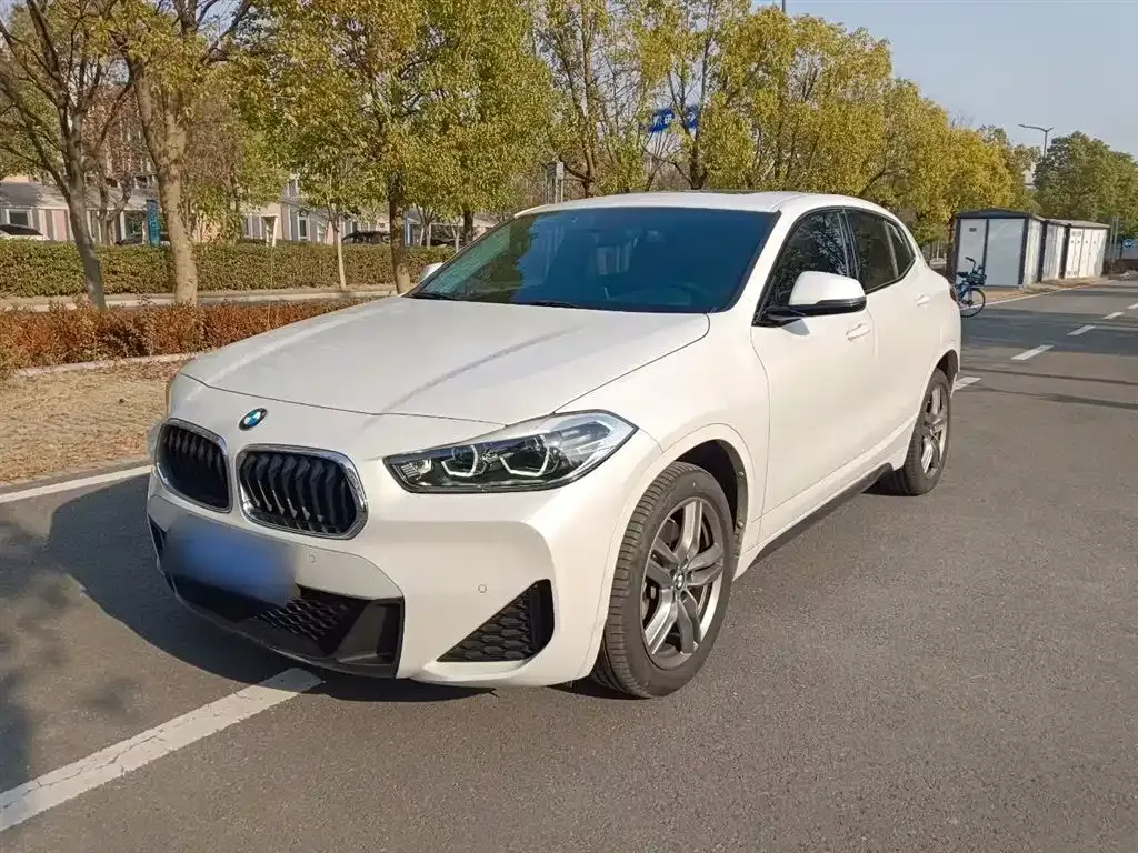 BMW X2 — фото 1