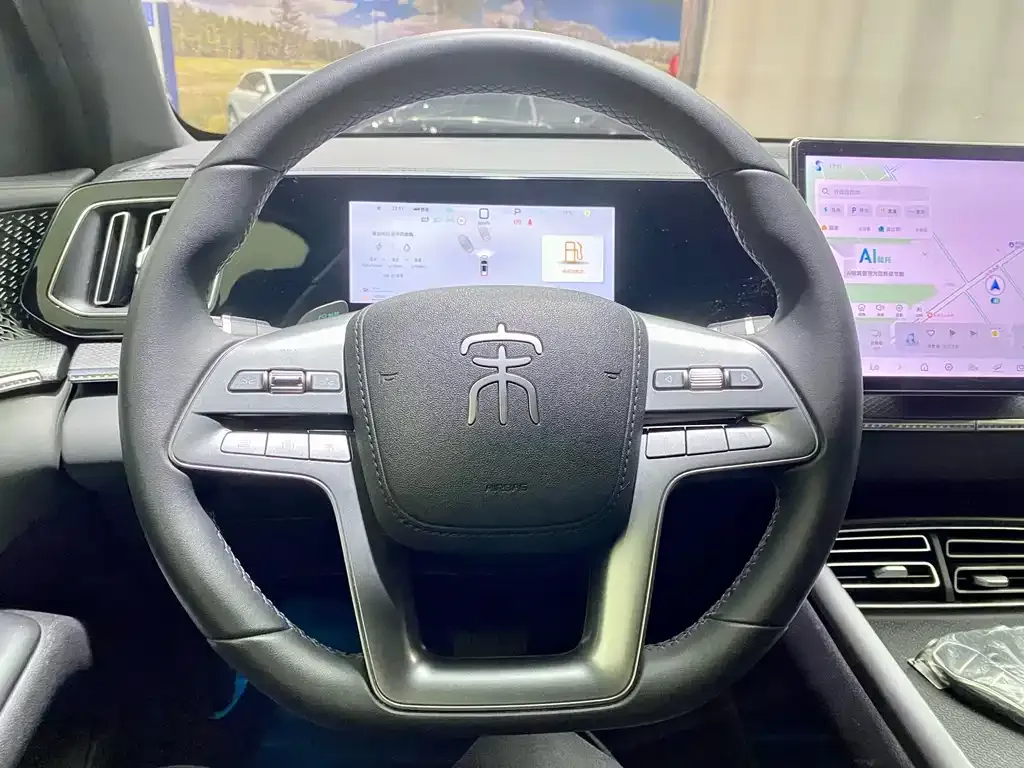 BYD Pro New Energy 2025 из CN, фото 2