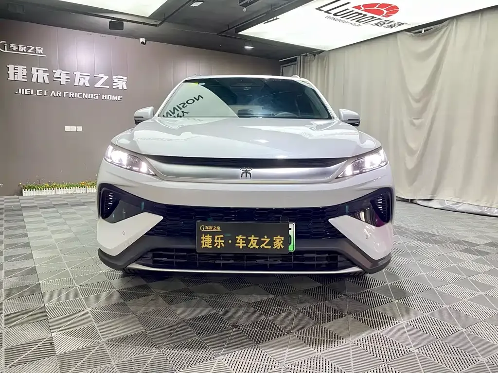 BYD Pro New Energy 2025 из CN, фото 9