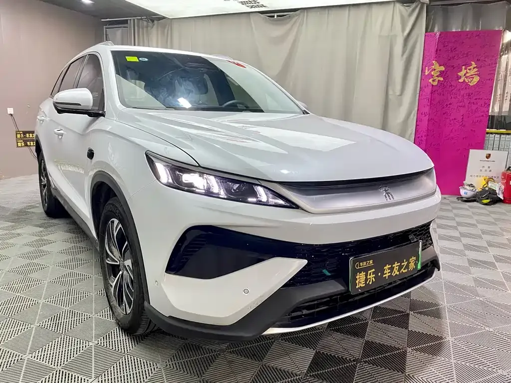 BYD Pro New Energy 2025 из CN, фото 8
