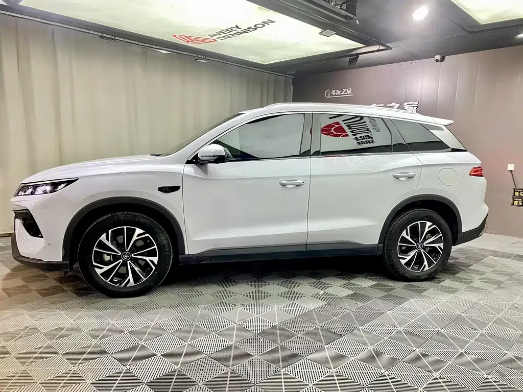 BYD Pro New Energy 2025 из CN, фото 4