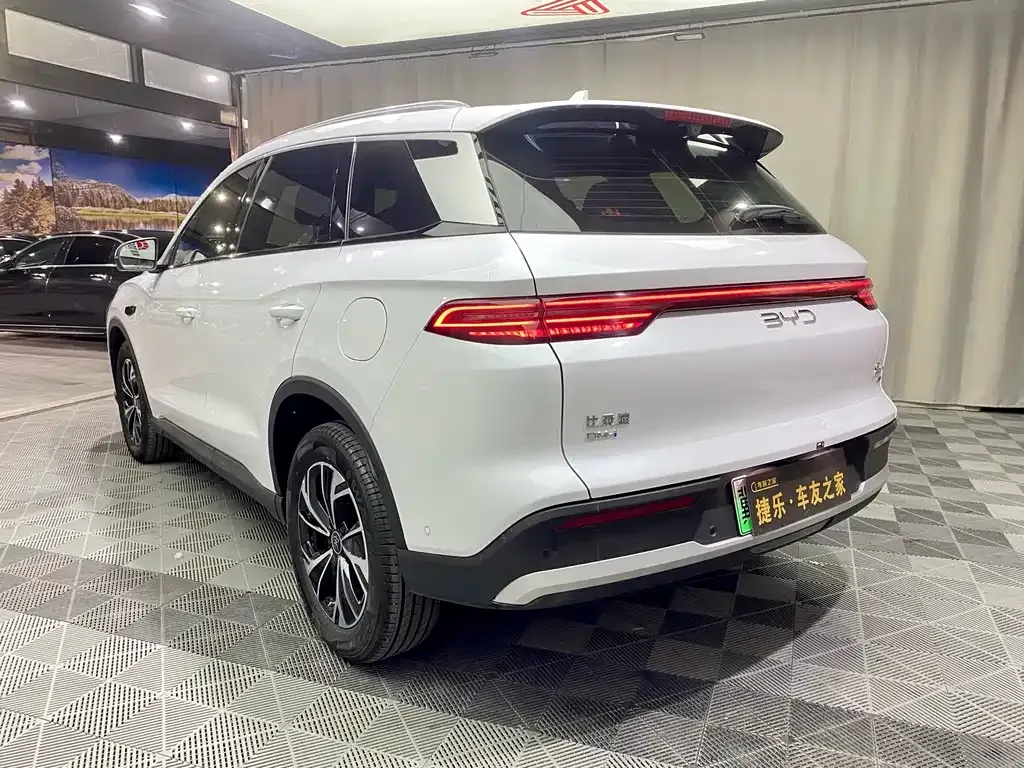 BYD Pro New Energy 2025 из CN, фото 5