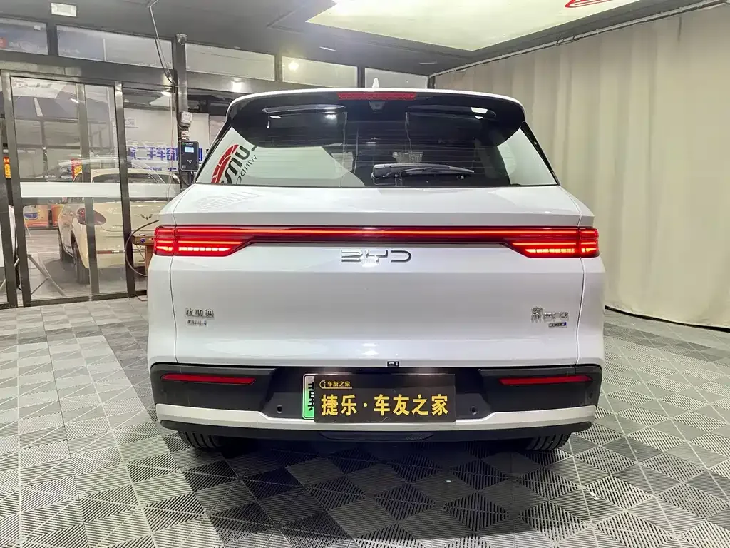 BYD Pro New Energy 2025 из CN, фото 6