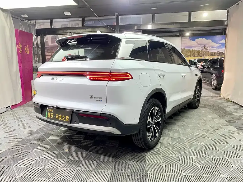 BYD Pro New Energy 2025 из CN, фото 7