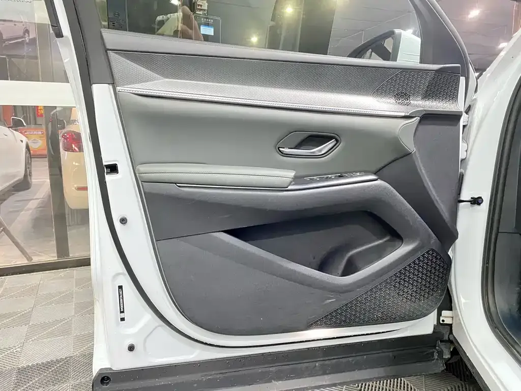 BYD Pro New Energy 2025 из CN, фото 3
