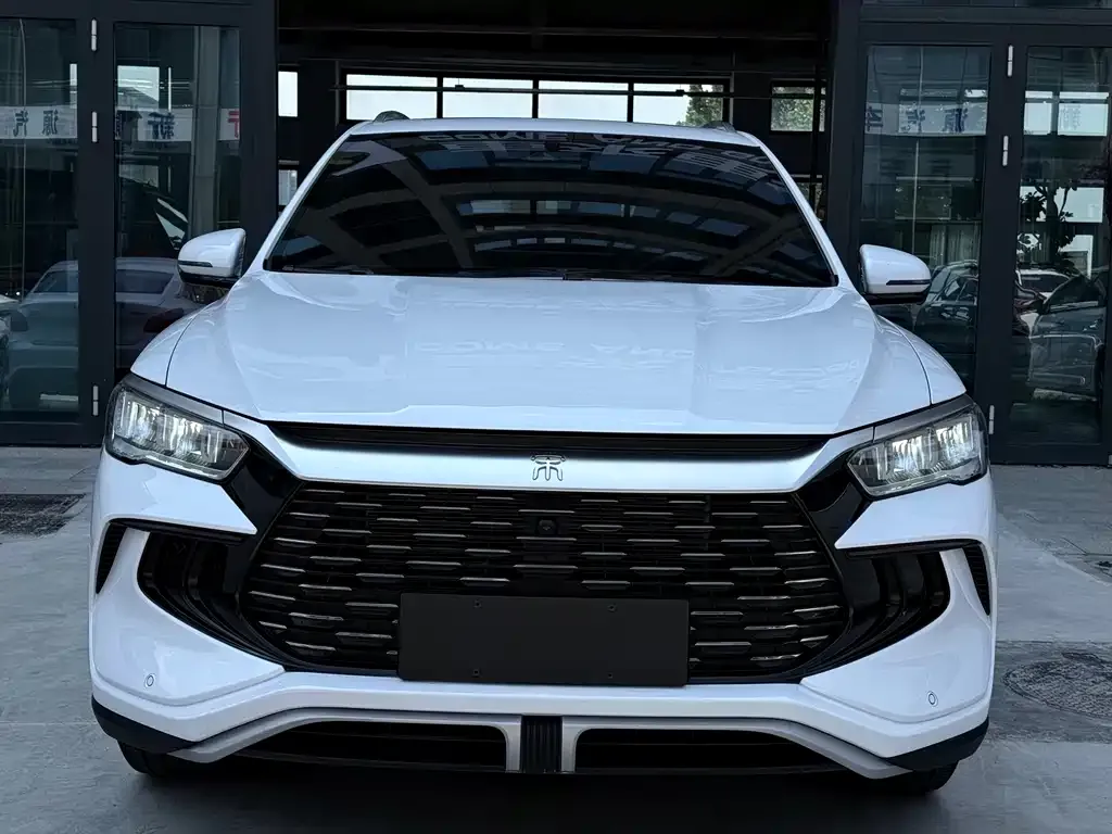BYD Pro New Energy — фото 1
