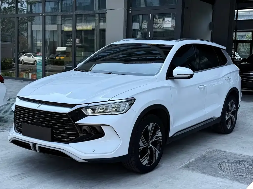 BYD Pro New Energy — фото 6