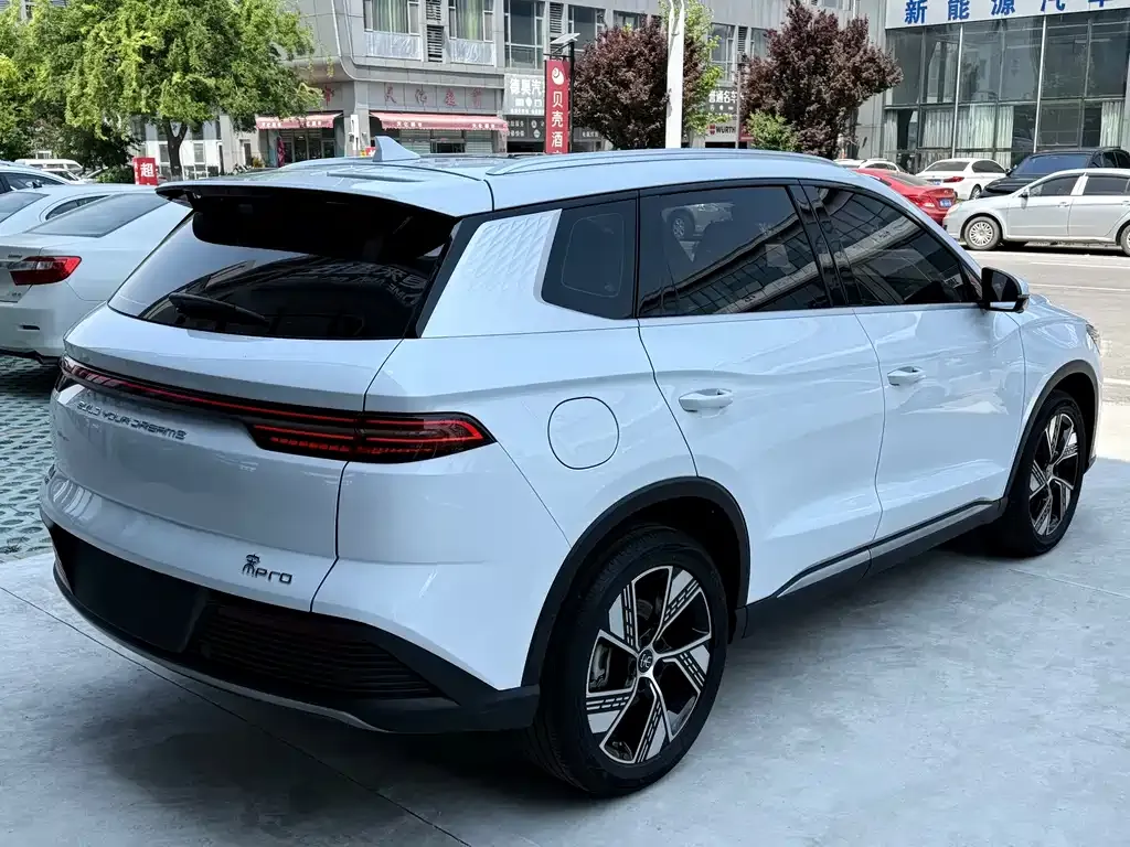 BYD Pro New Energy — фото 7