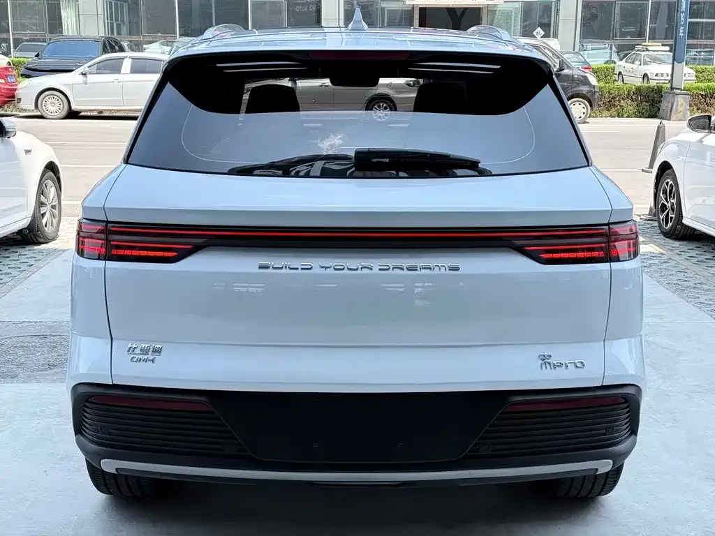 BYD Pro New Energy — фото 8