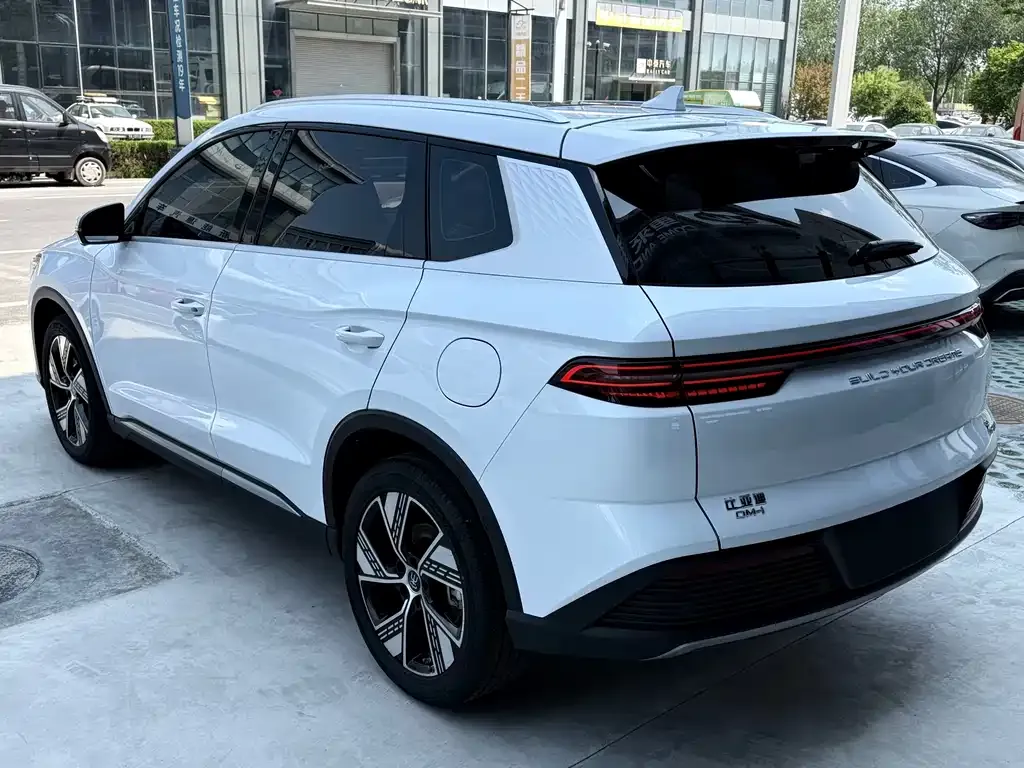 BYD Pro New Energy — фото 2