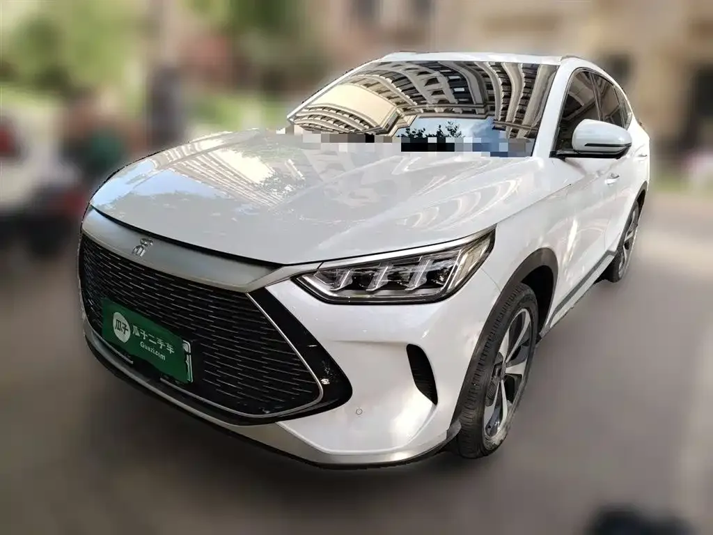 BYD PLUS New Energy — фото 1