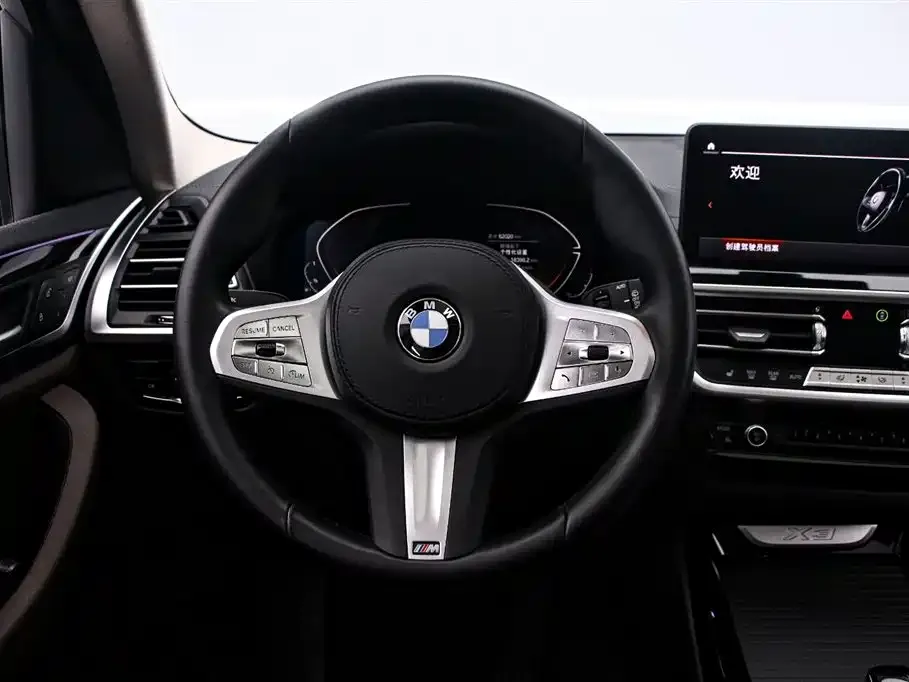 BMW X3 2024 из CN, фото 6