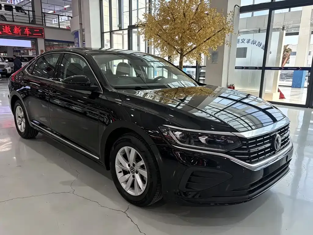 Volkswagen Passat — фото 1