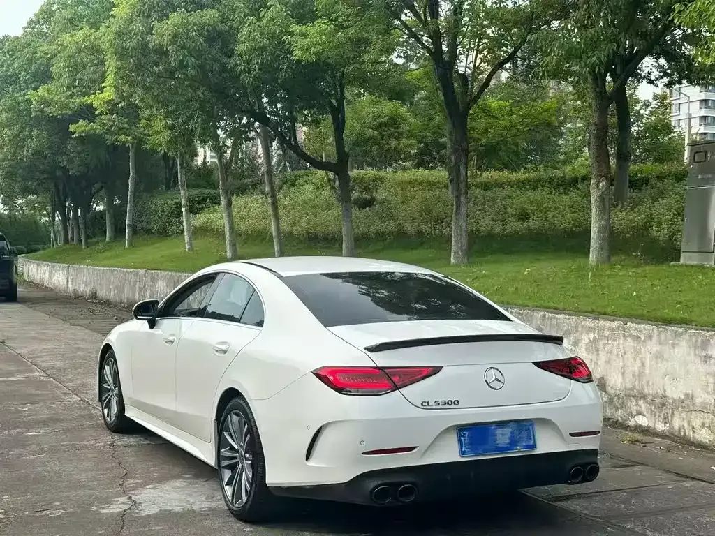 Mercedes-Benz CLS 2022 из CN, фото 6