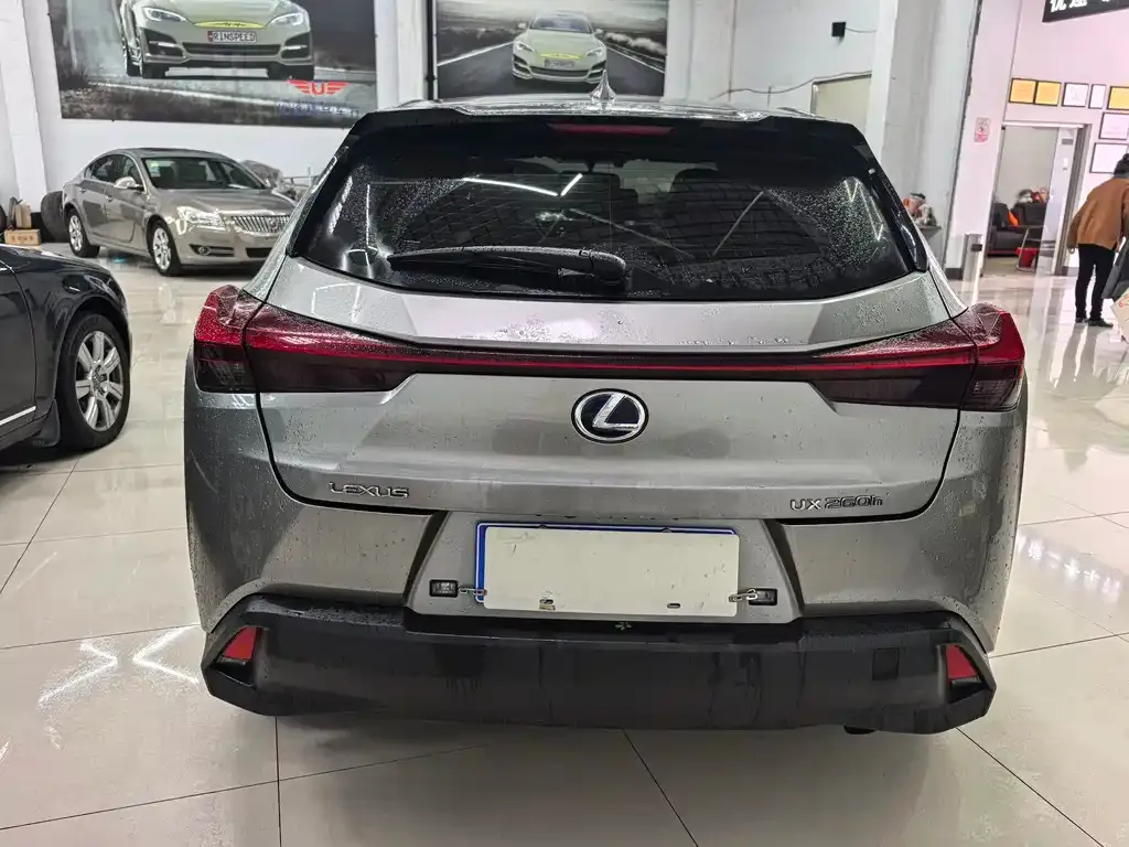 Lexus UX 2021 из CN, фото 6