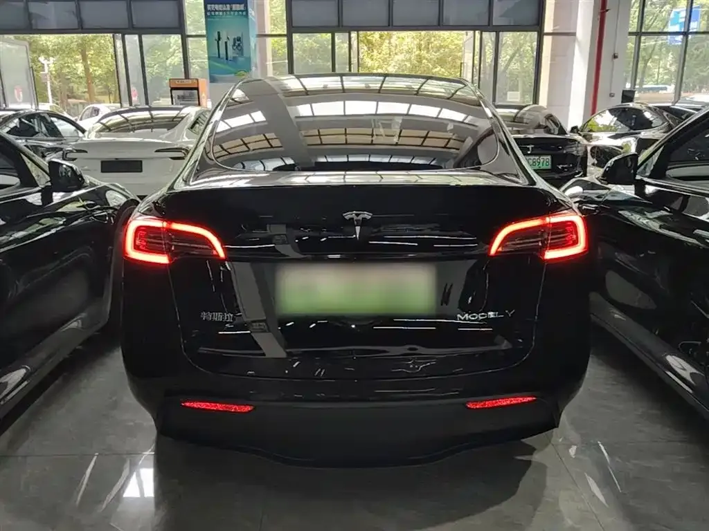 Tesla Model Y — фото 3
