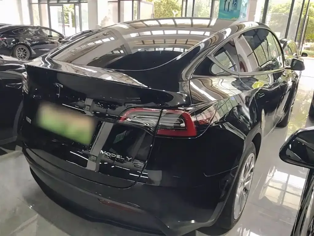Tesla Model Y — фото 5
