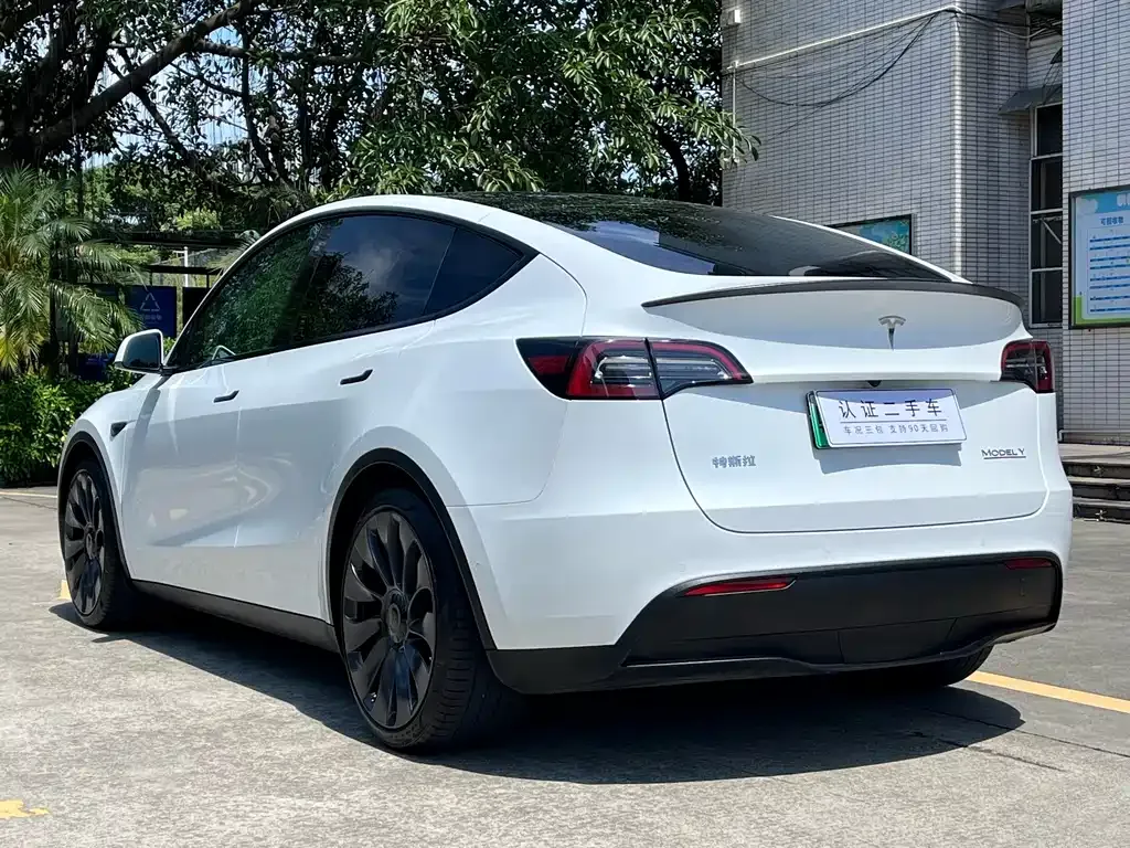 Tesla Model Y — фото 9