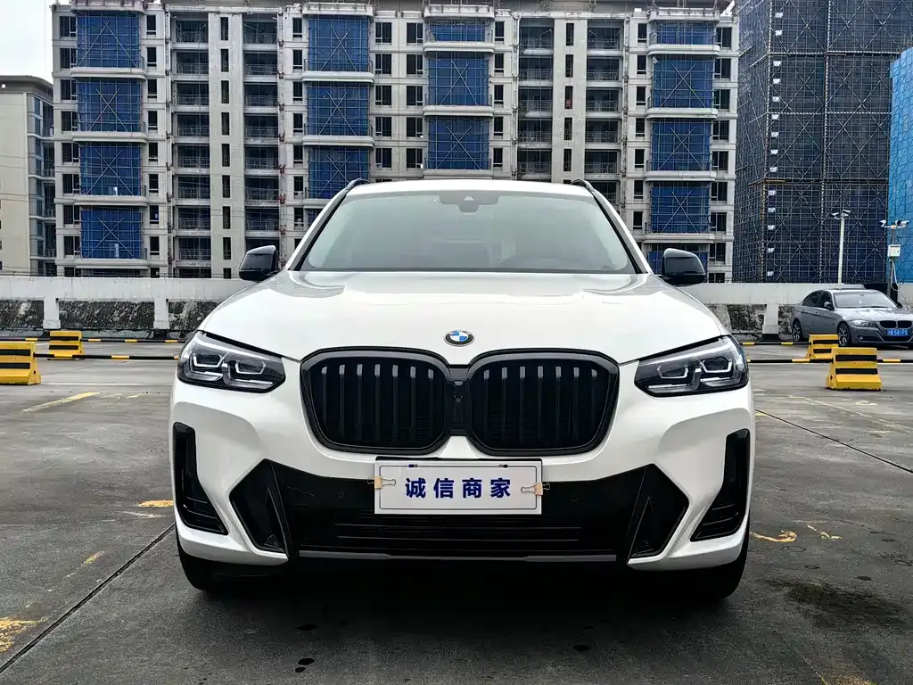 BMW X3 2024 из CN, фото 6