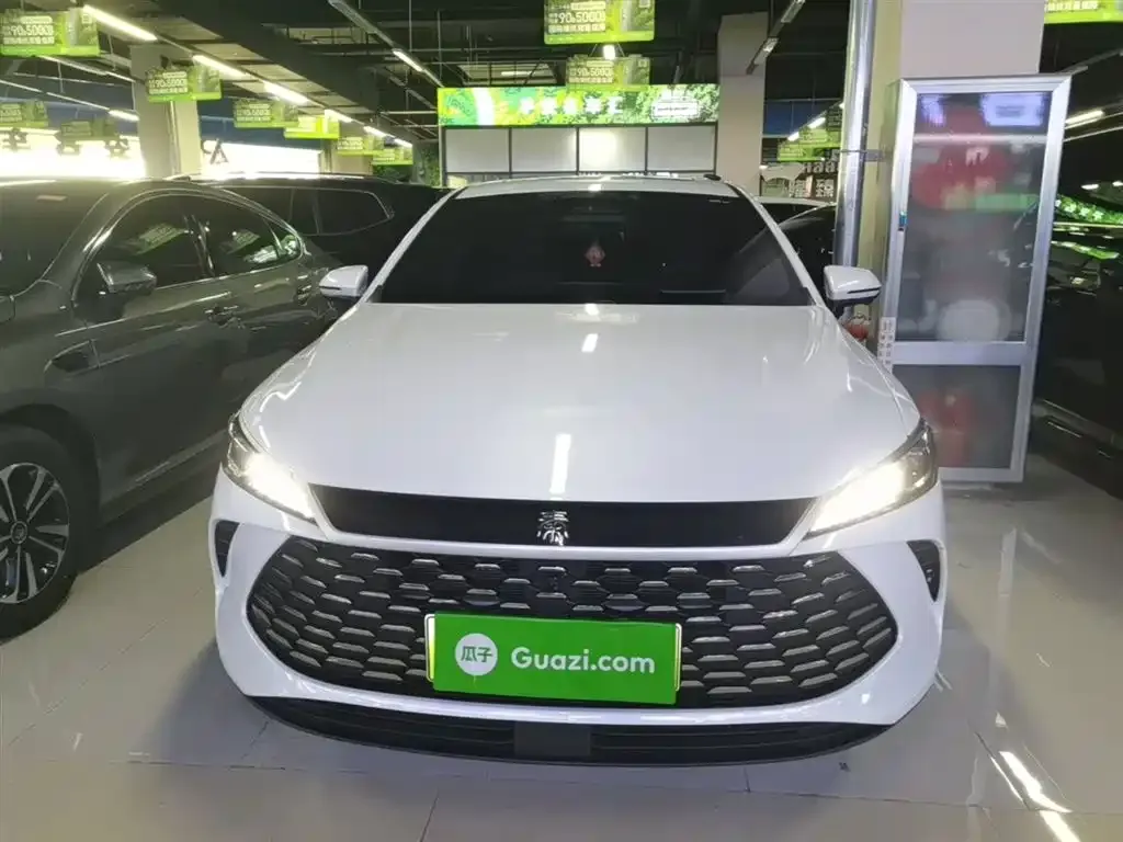 BYD Qin PLUS — фото 10