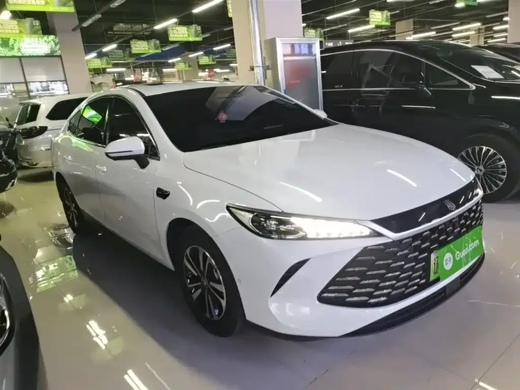 BYD Qin PLUS — фото 5