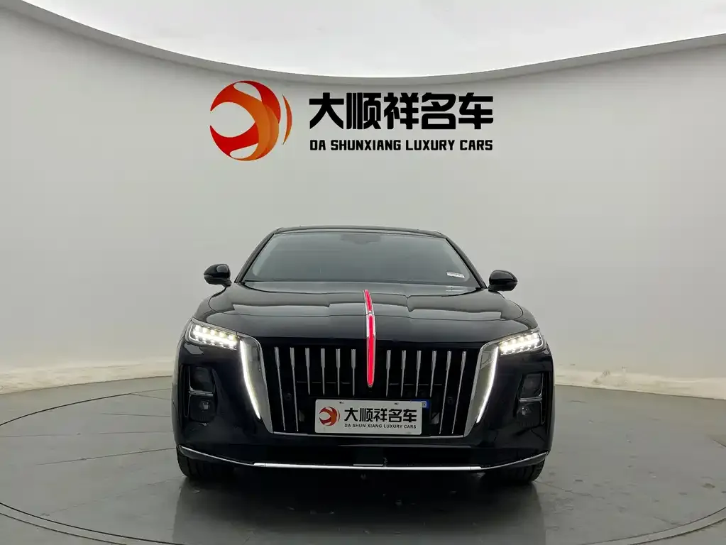 Hongqi H5 PHEV 2025 из CN, фото 6