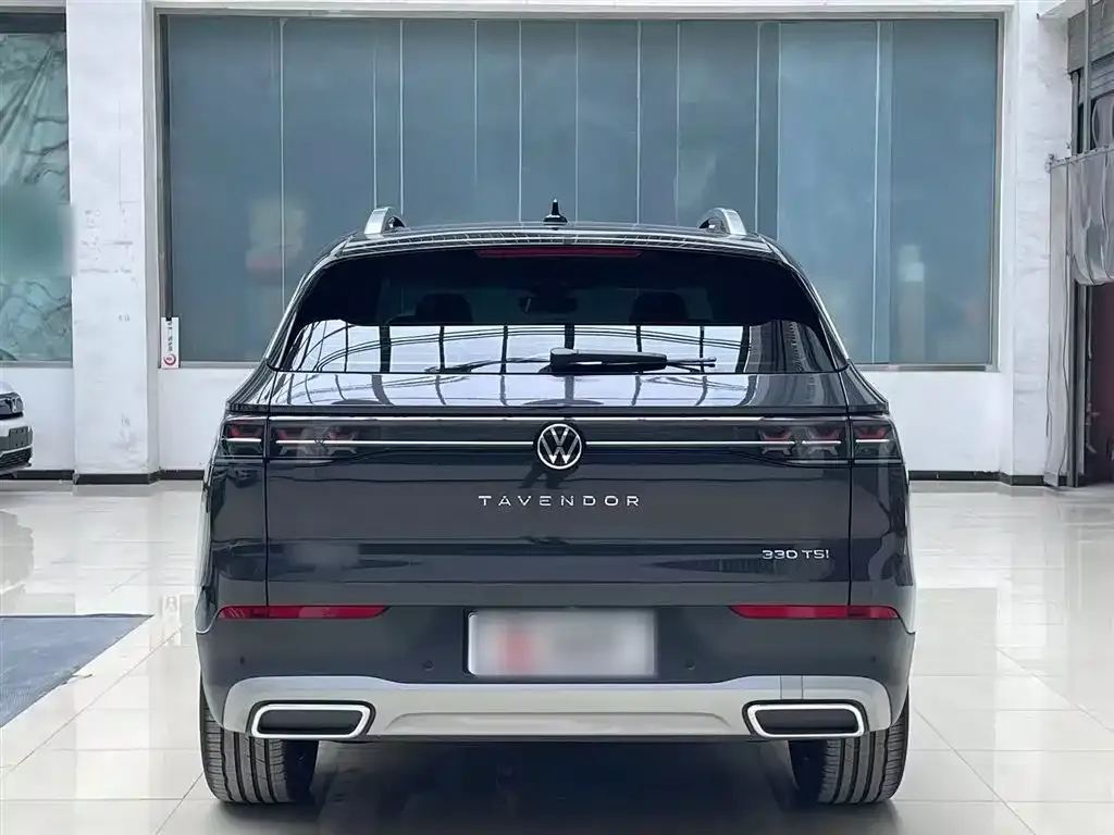 Volkswagen Tavendor 2024 из CN, фото 10