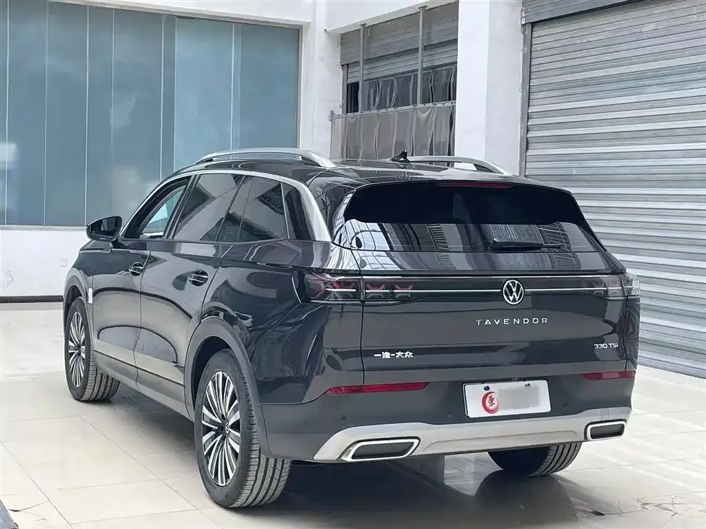 Volkswagen Tavendor 2024 из CN, фото 7