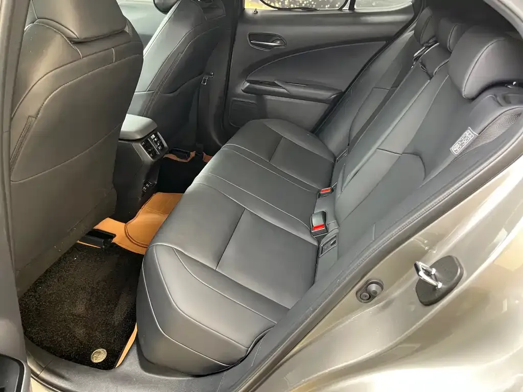 Lexus UX New Energy 2021 из CN, фото 2