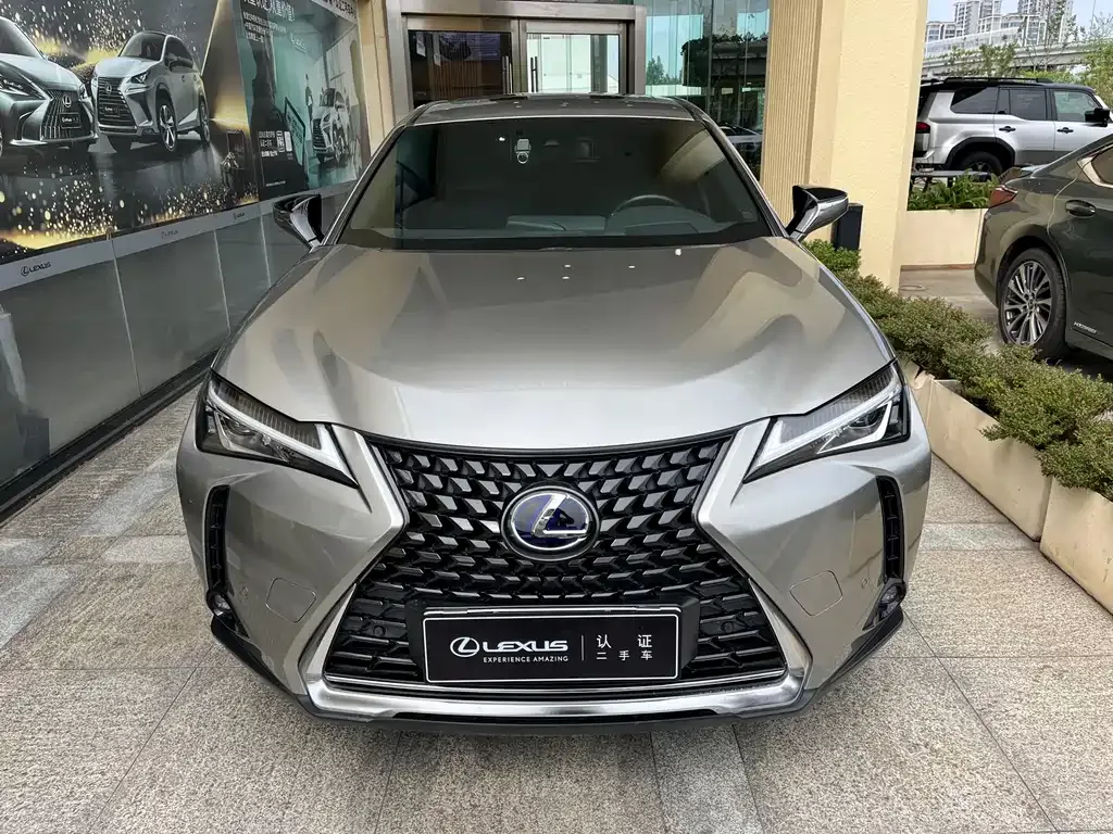 Lexus UX New Energy 2021 из CN, фото 4