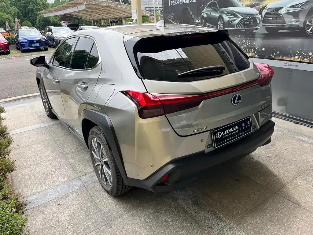 Lexus UX New Energy 2021 из CN, фото 9