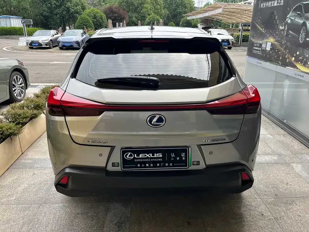 Lexus UX New Energy 2021 из CN, фото 7
