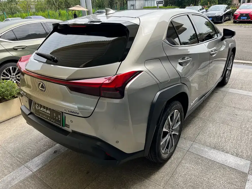 Lexus UX New Energy 2021 из CN, фото 6