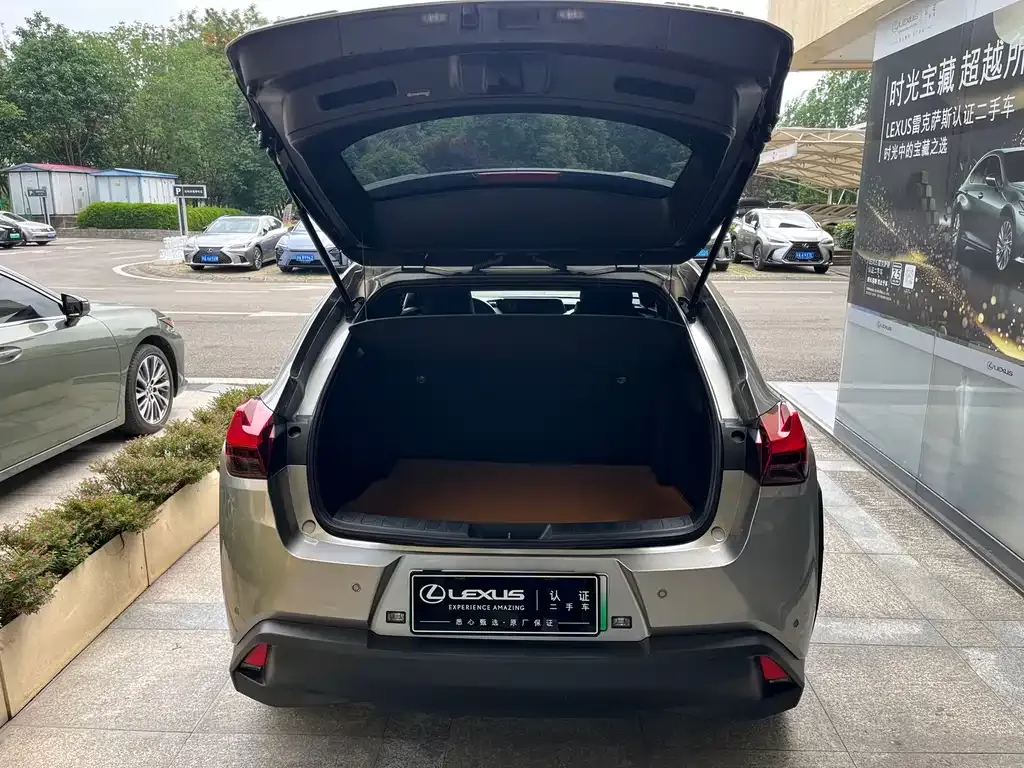Lexus UX New Energy 2021 из CN, фото 8
