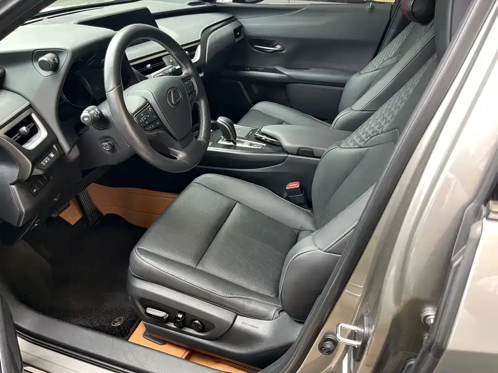 Lexus UX New Energy 2021 из CN, фото 5